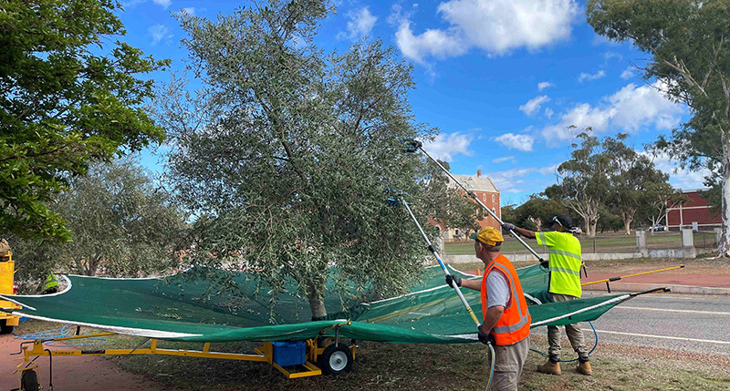 It's Been a Great Start: Let the Harvest Begin!